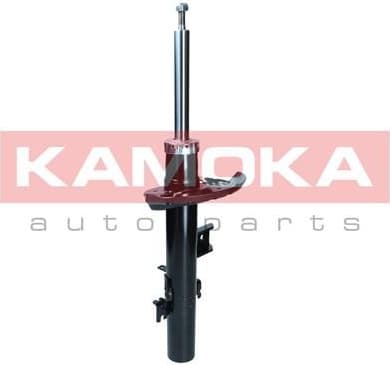 Shock Absorber 2001289