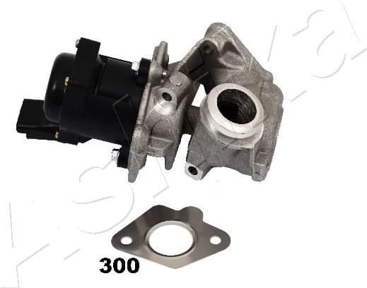 EGR Valve 150-03-300
