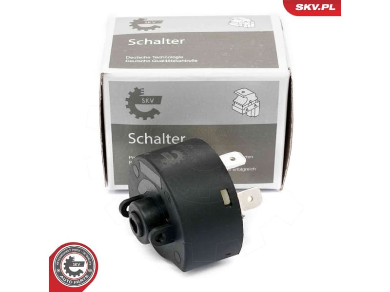 Ignition Switch 65SKV022