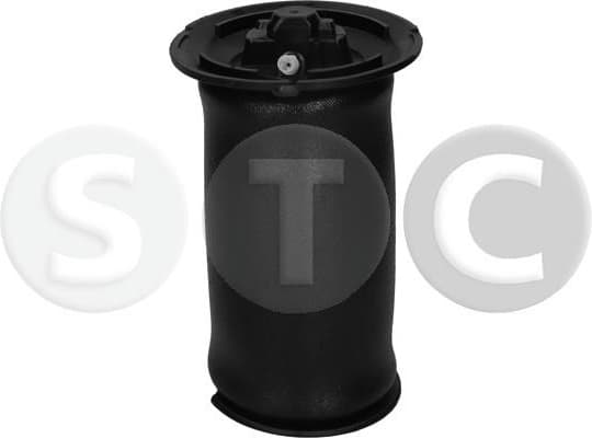 Pneumatic spring, air spring T442955