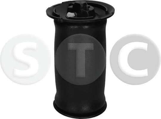 Pneumatic spring, air spring T442955 - image 2