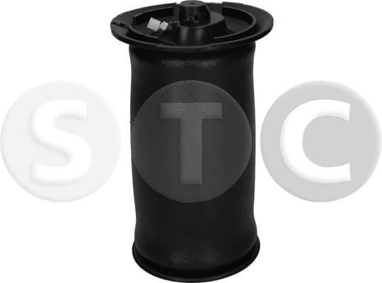 Pneumatic spring, air spring T442955 - image 3