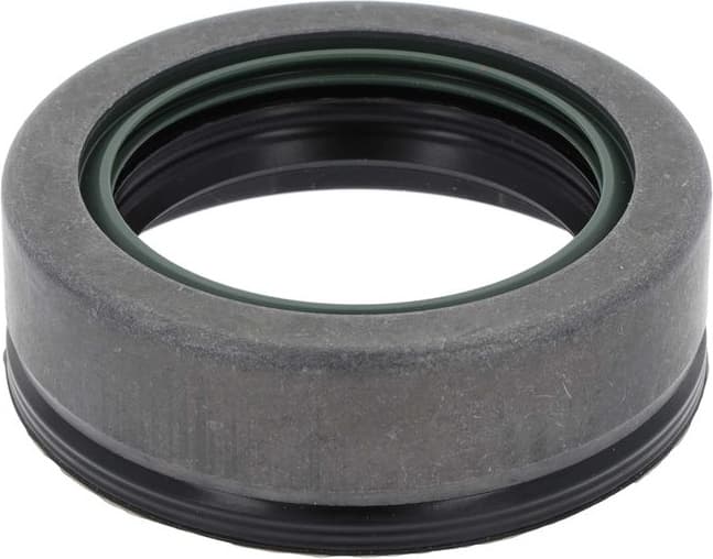 Shaft Seal, differential 12019327B