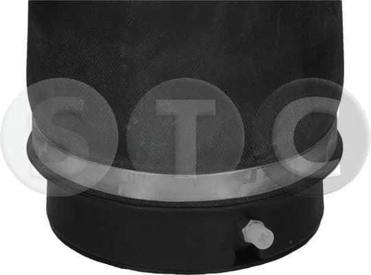 Pneumatic spring, air spring T442956 - image 2