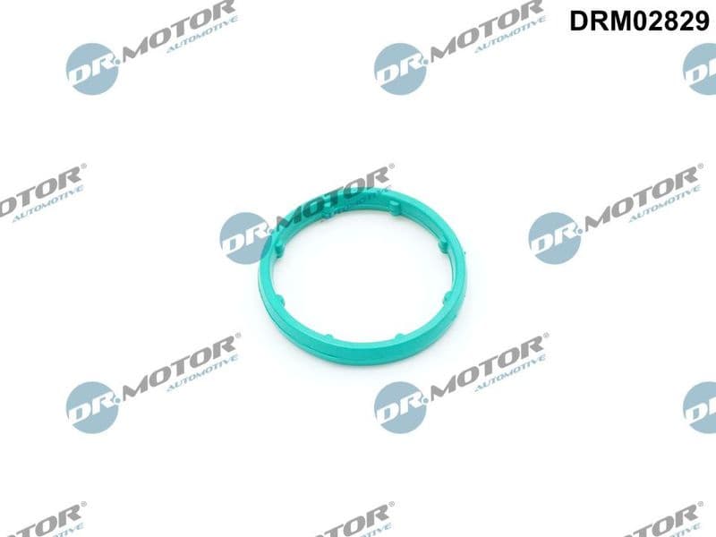 Gasket, oil cooler DRM02829