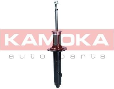 Shock Absorber 2001132
