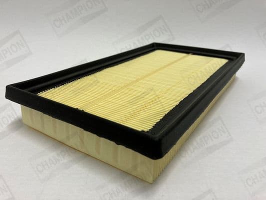 Air Filter CAF101220P