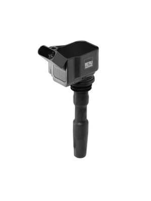 Ritė uždegimo babina