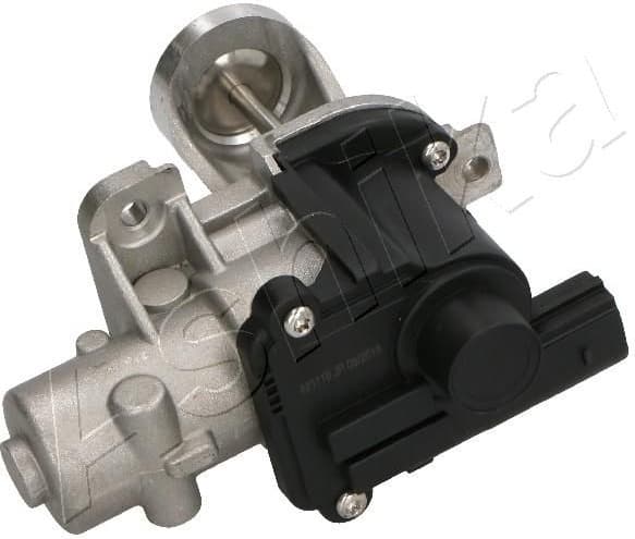 EGR Valve 150-00-0928