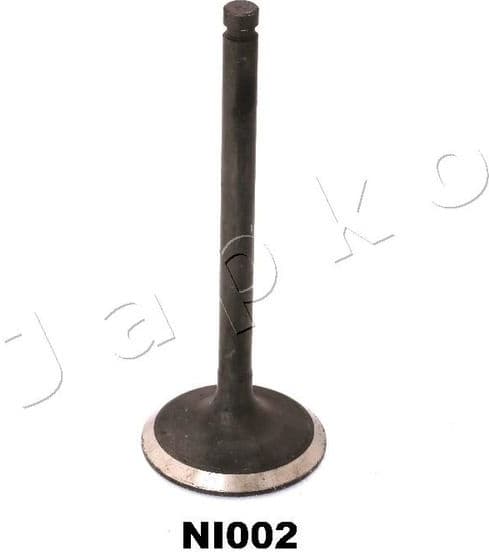 Intake Valve 5NI002