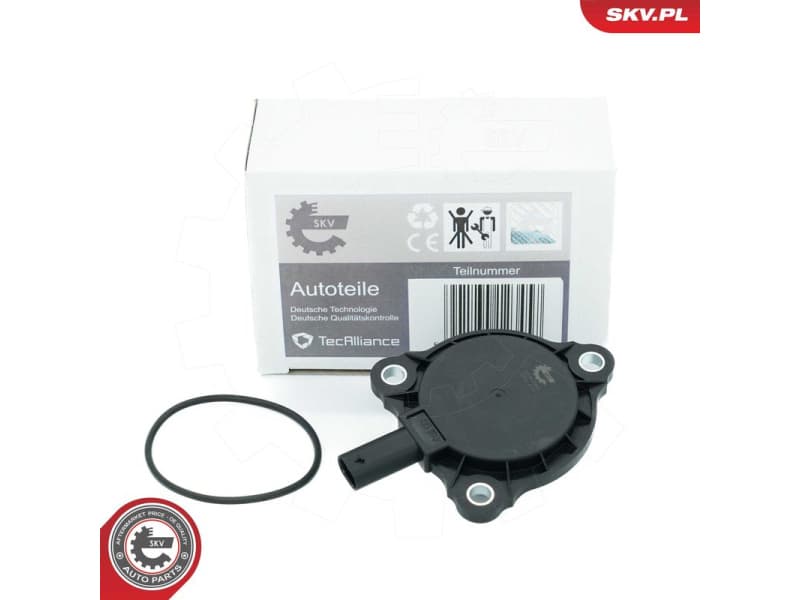 Central Magnet, camshaft adjustment 39SKV905