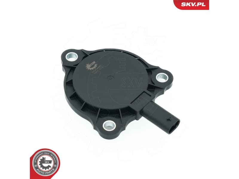 Central Magnet, camshaft adjustment 39SKV905 - image 2