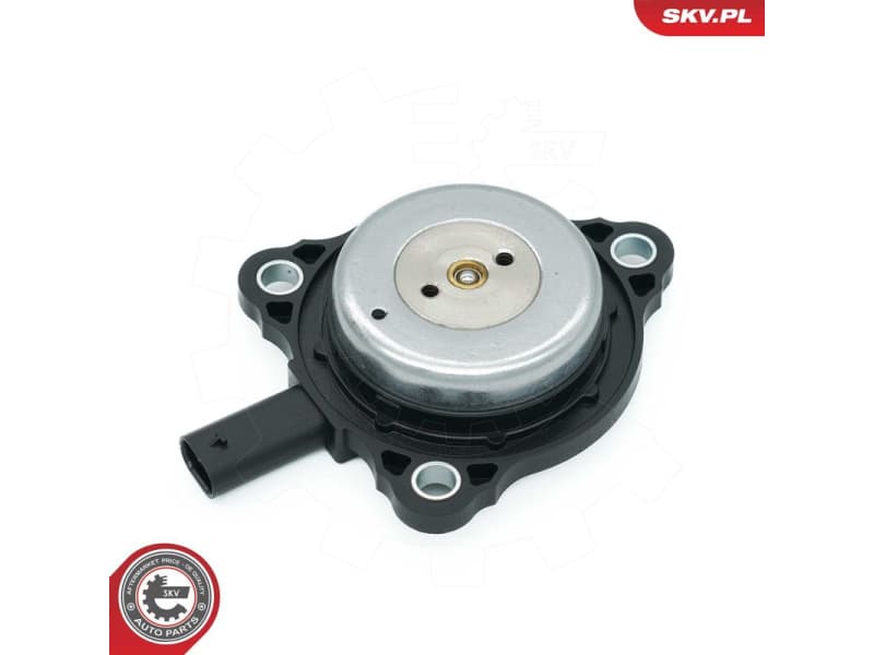Central Magnet, camshaft adjustment 39SKV905 - image 3