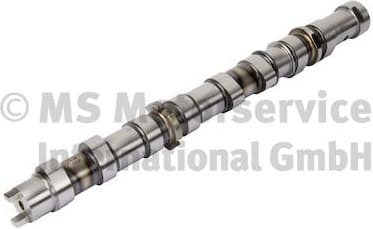Camshaft 50007904