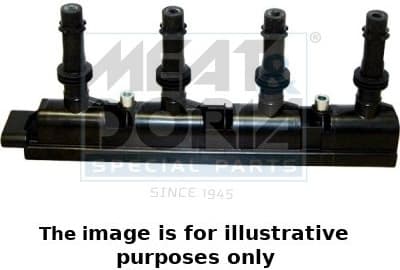 Ignition Coil 10606E
