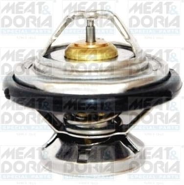 Thermostat, coolant 92195