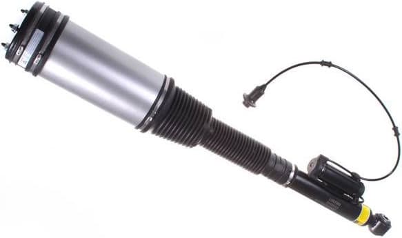 Air Suspension Strut DSA004G