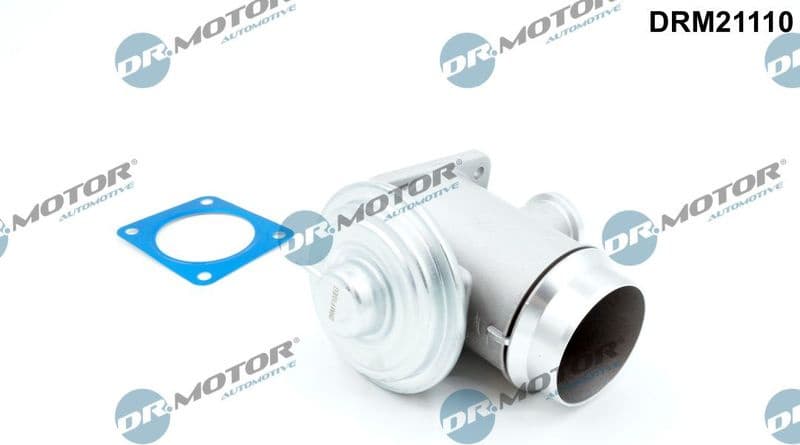EGR Valve DRM21110