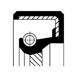 Seal crankshaft rear 155 10087B