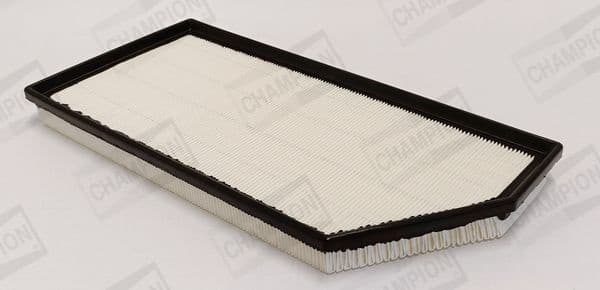 Air Filter CAF101232P - image 2