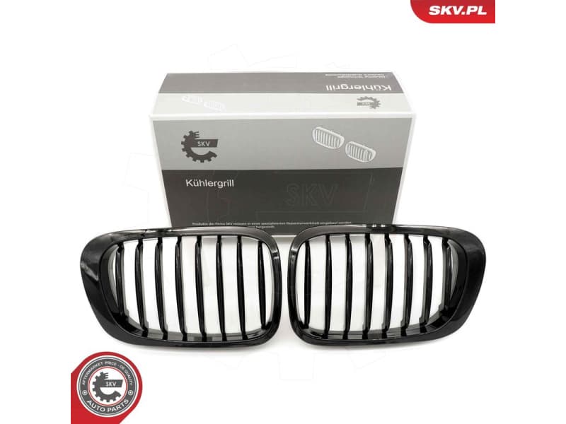Radiator Grille 66SKV055
