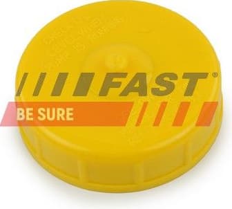 Seal Ring, power steering pump blanking plug FT94743