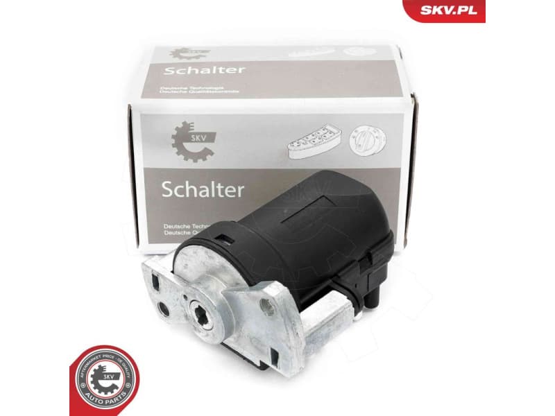 Ignition Switch 65SKV004