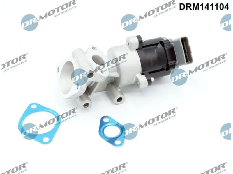 EGR Valve DRM141104