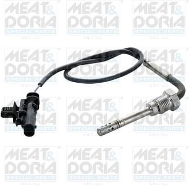 Sensor, exhaust gas temperature 12485