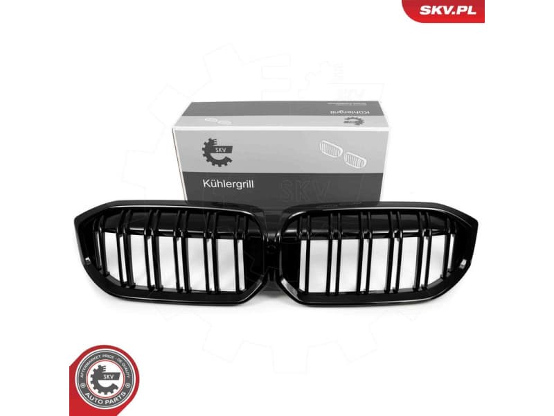 Radiator Grille 66SKV145