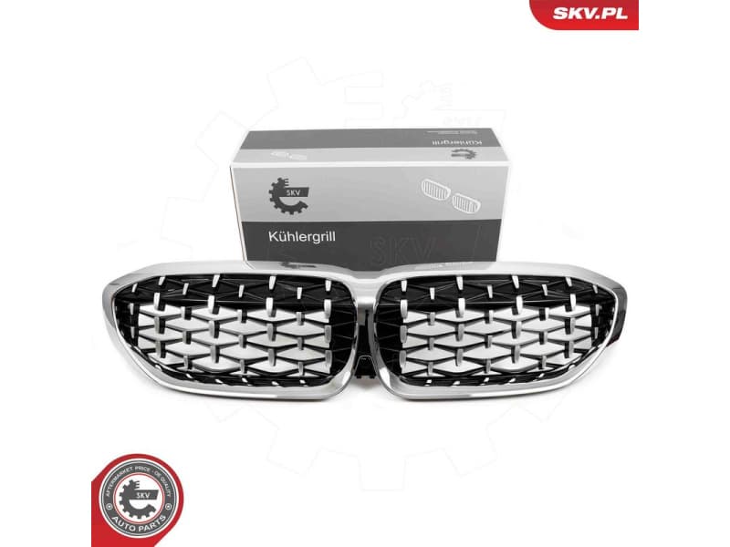 Radiator Grille 66SKV143