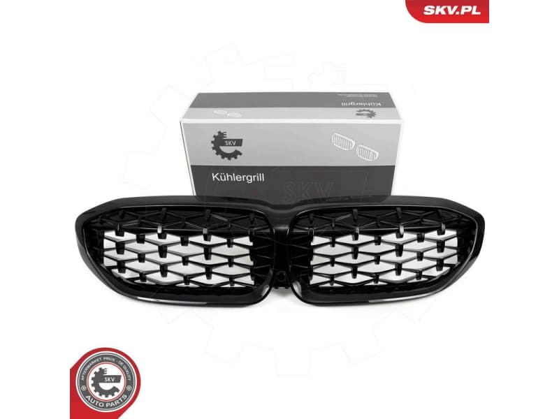Radiator Grille 66SKV141