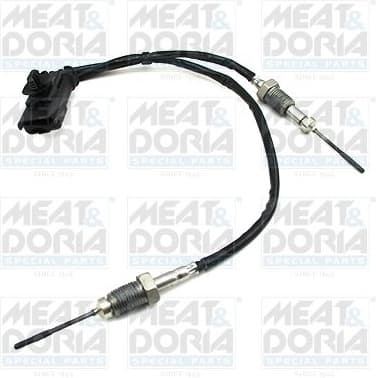 Sensor, exhaust gas temperature 12448