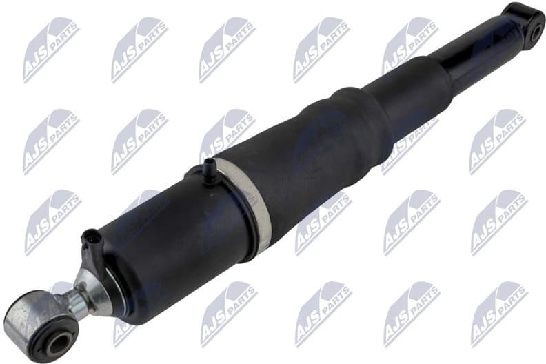 Air Suspension Strut A-CH-013