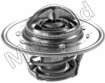 Thermostat, coolant 200-74JK
