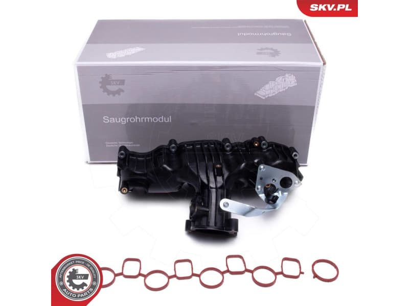 Intake Manifold Module 49SKV077