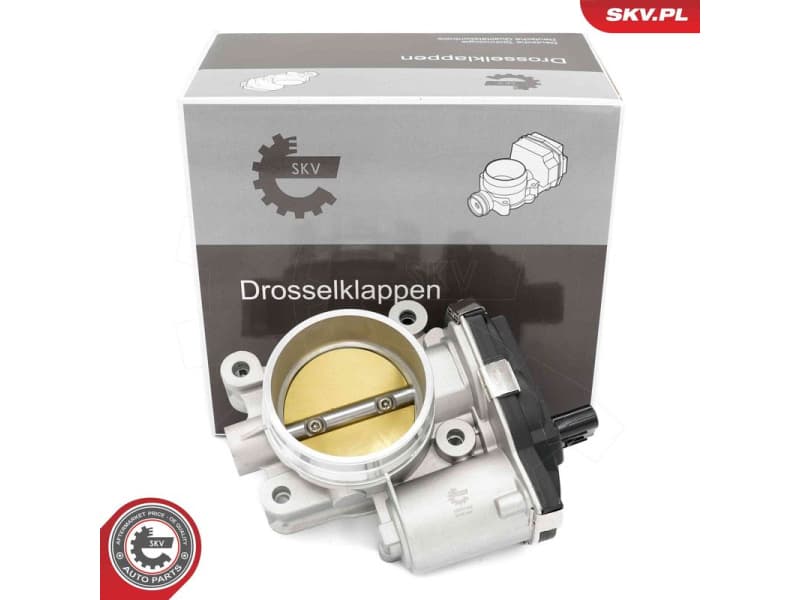 Throttle Body 12SKV140