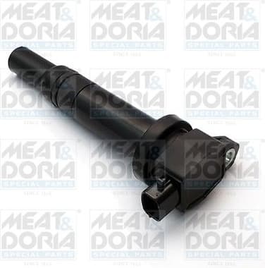 Ignition Coil 10623