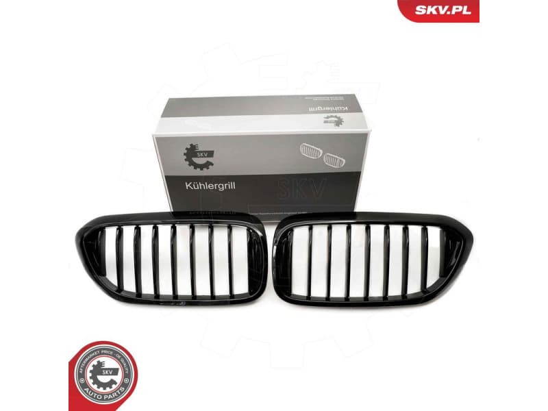 Radiator Grille 66SKV198