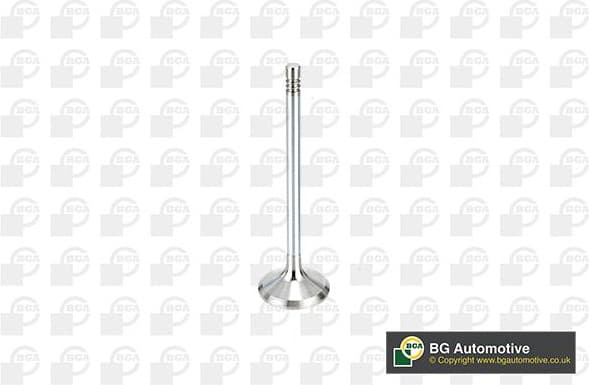 Intake Valve V998912