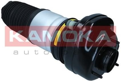 Air Spring, suspension 2079070 - image 3