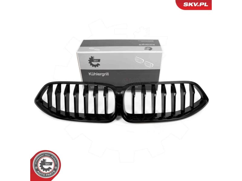 Radiator Grille 66SKV227