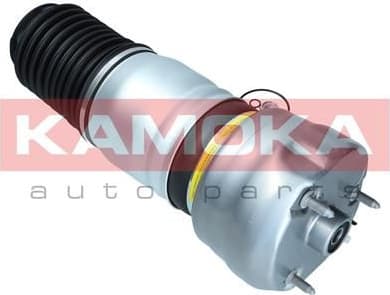 Air Spring, suspension 2079063 - image 4