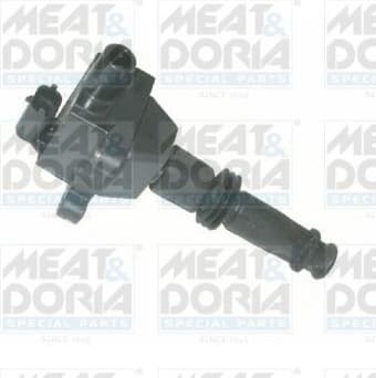 Ignition Coil 10310