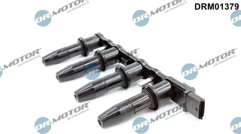 Ignition Coil DRM01379