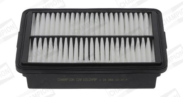 Air Filter CAF101249P