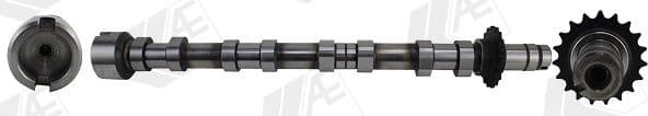 Camshaft CAM1031