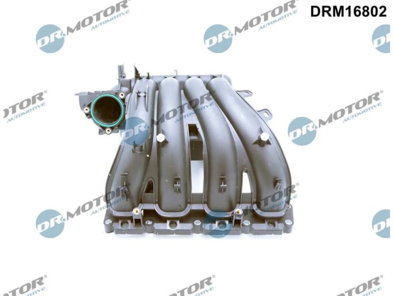 Intake Manifold Module DRM16802