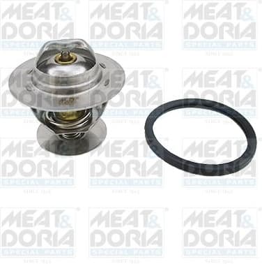 Thermostat, coolant 92321