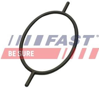 Seal Ring, radiator cap bolt FT49923